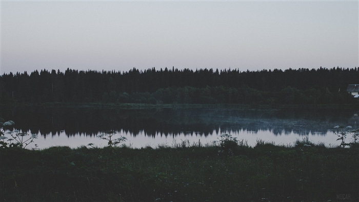 River and forest at dusk
