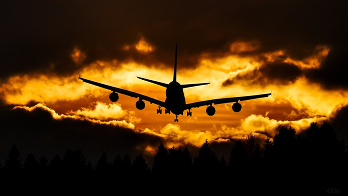 Airplane Silhouette Flying at Sunset 4K