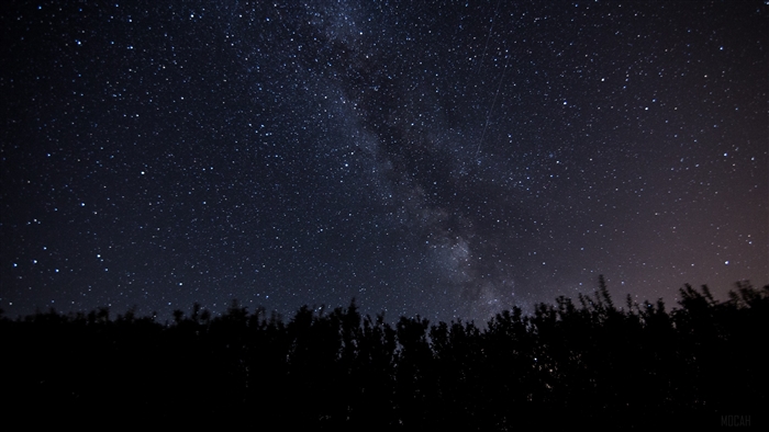 Starry Night Sky with Milky Way Over Trees 4K
