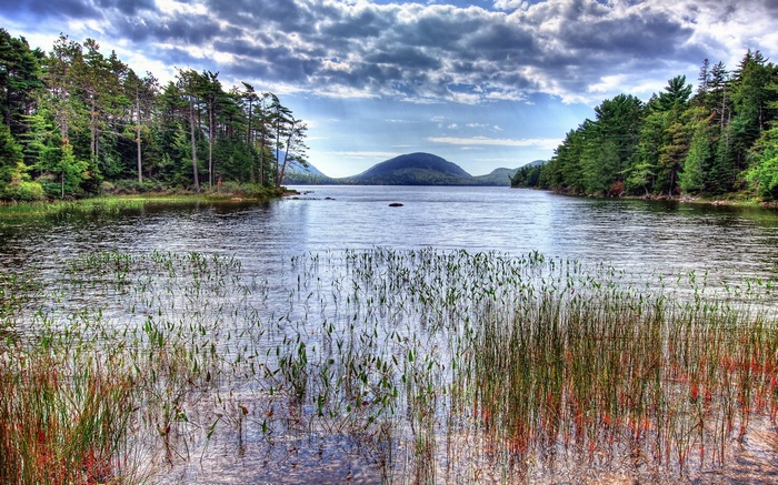 Lake with trees and a distant mountain