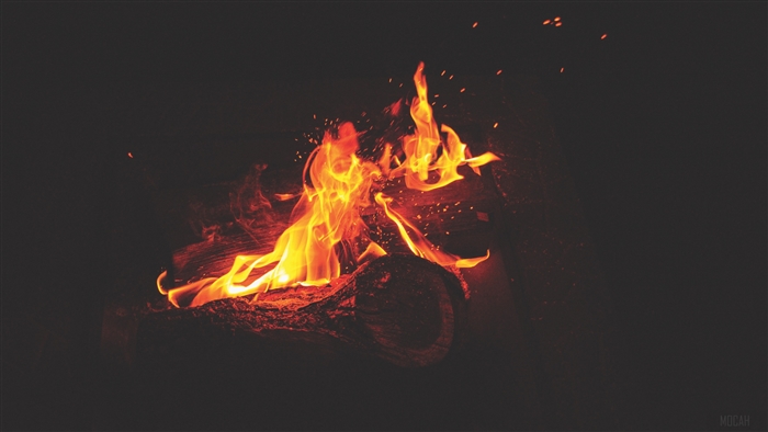 Bonfire with flames and sparks 4K