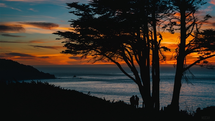 Silhouettes of trees and a couple at sunset over the sea