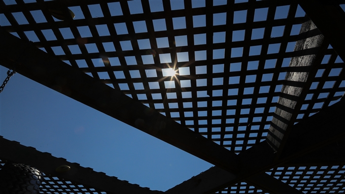 Sunlight through a wooden lattice roof