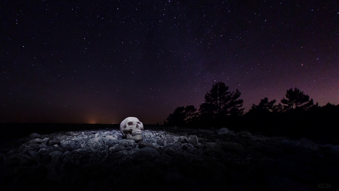 Skull on stones under a starry night sky