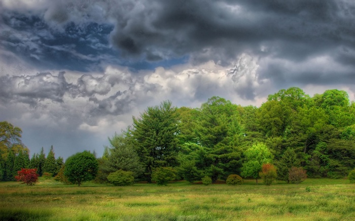 Stormy sky over a green forest and meadow