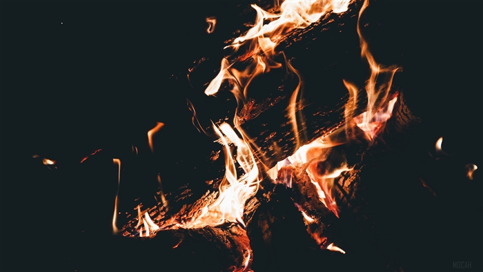 Burning firewood in a bonfire, 4K
