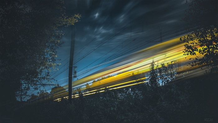 Train light trails at night with trees and sky