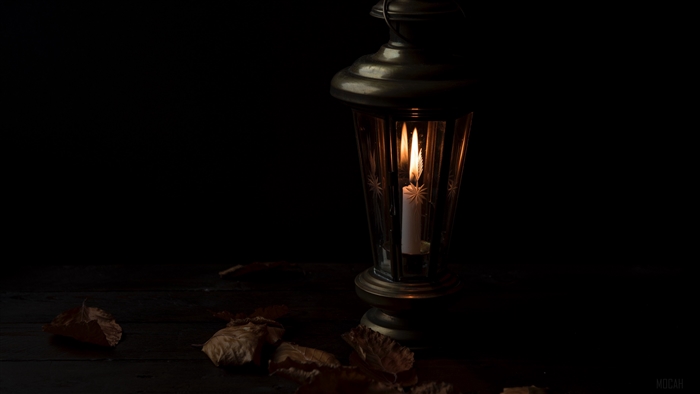 Candle in a lantern with fallen leaves