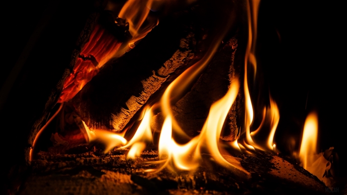 Fire burning in a fireplace 4K