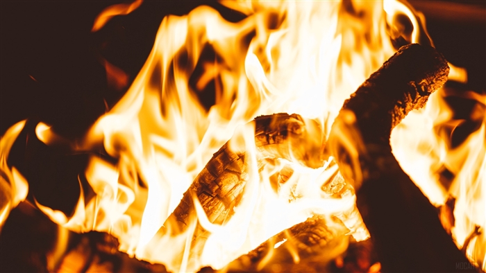 Close-up of a bonfire with flames and firewood
