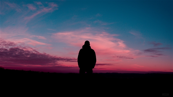Silhouette at Sunset with Vibrant Horizon in 4K