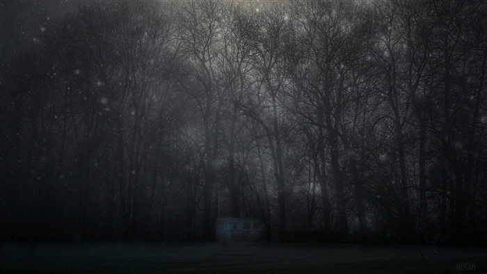 Mystical foggy forest with a small building at night