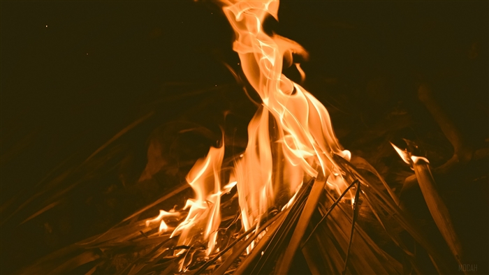 Bonfire with flames in the dark 4K