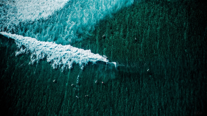 Aerial view of surfers in the ocean