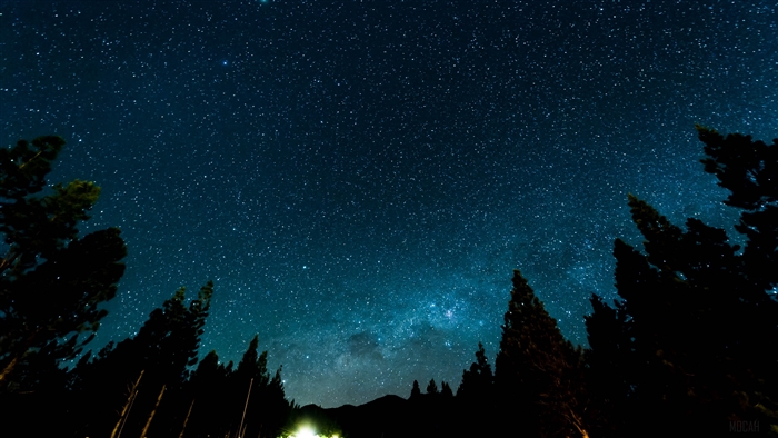 Starry night sky over a forest