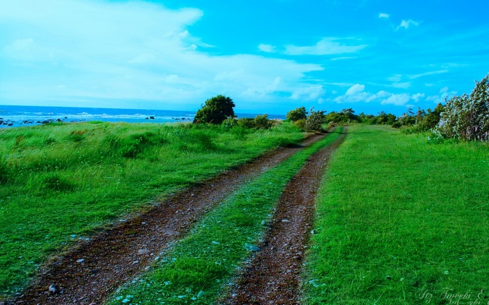 Dirt road through a grassy field towards the ocean