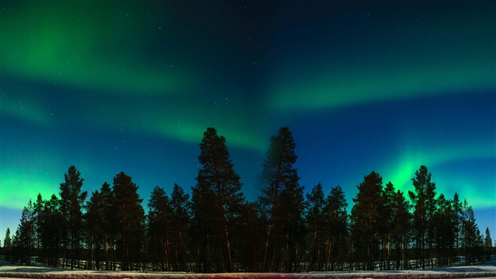Aurora Borealis over a forest with starry sky 4K
