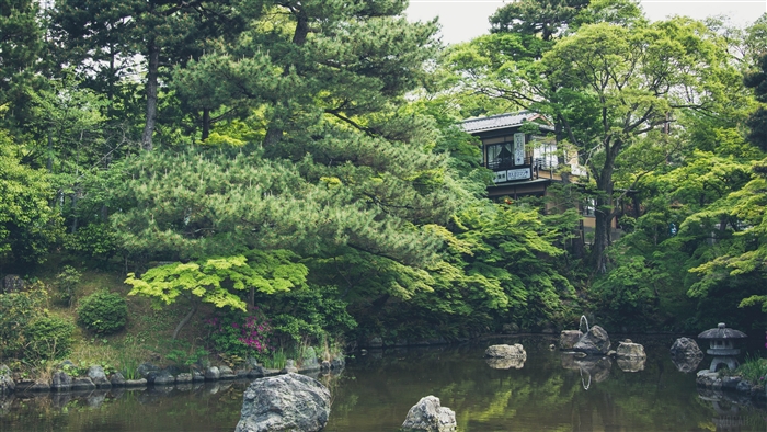 Japanese building by a pond surrounded by trees 4K