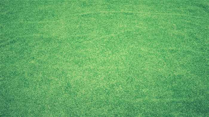 Green Grass Abstract Background 4K