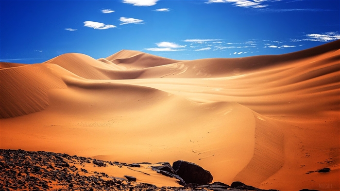 Algerian Desert Sand Dunes 4K