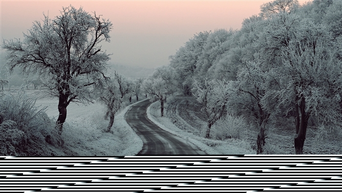 Winter road with frozen trees and snow