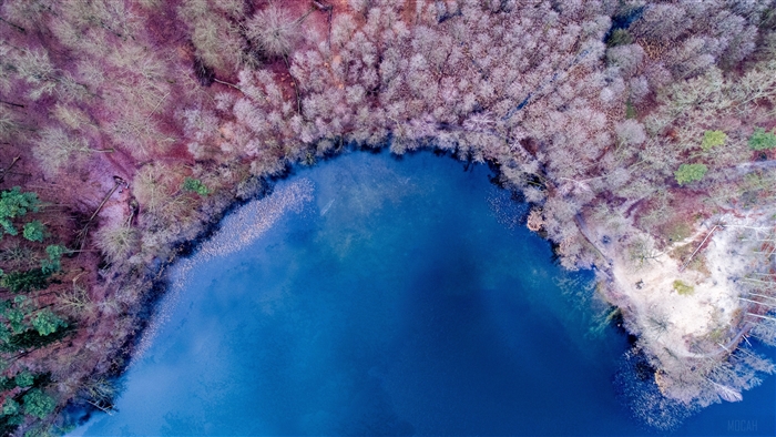 Aerial view of a lake surrounded by a colorful forest