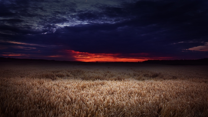 Dark Field Covered By Clouds Sunset