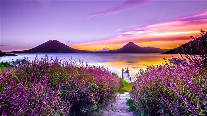 Volcanoes and Flowers at Sunset 4K