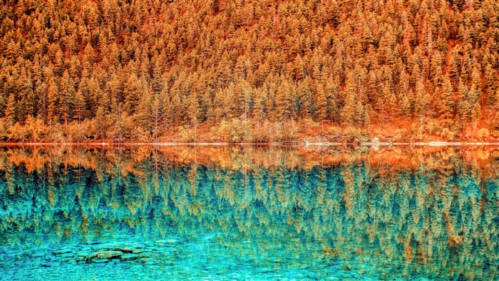 Autumn Forest Reflected in Turquoise Lake