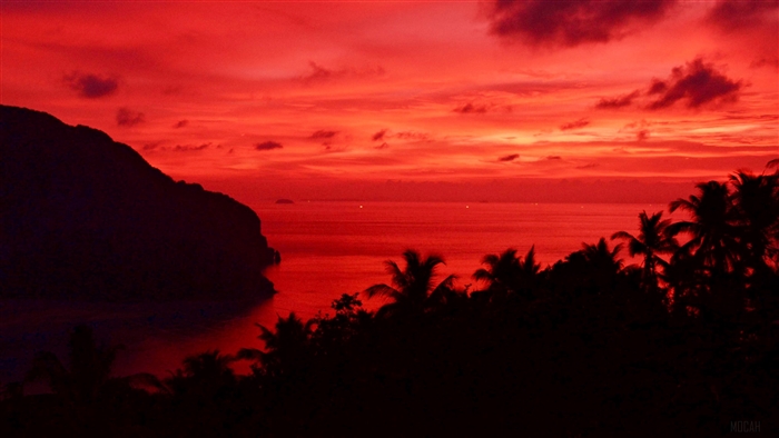 Sunset over ocean with palm trees and island