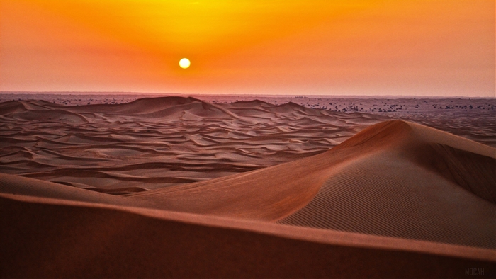 Desert sand dunes at sunset 4K
