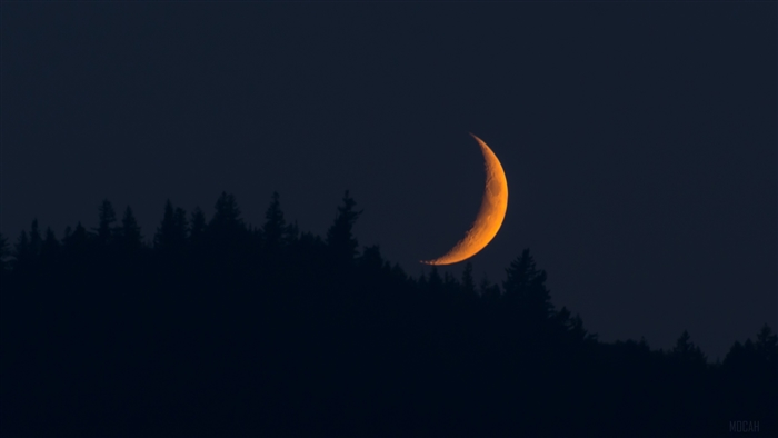 Crescent Moon over Forest Silhouette