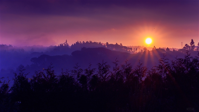 Sunrise over misty hills with silhouetted trees