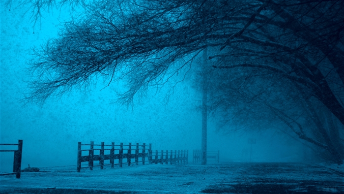 Winter Storm