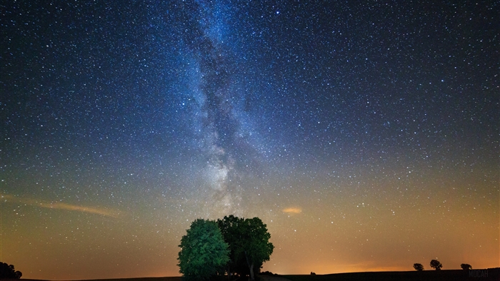 Milky Way Galaxy Over Trees at Night 4K