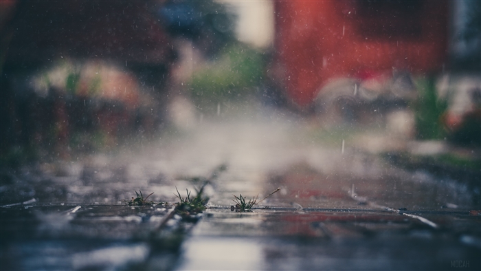Rain falling on a paved surface with grass