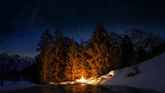 Campfire in a snowy forest under the stars
