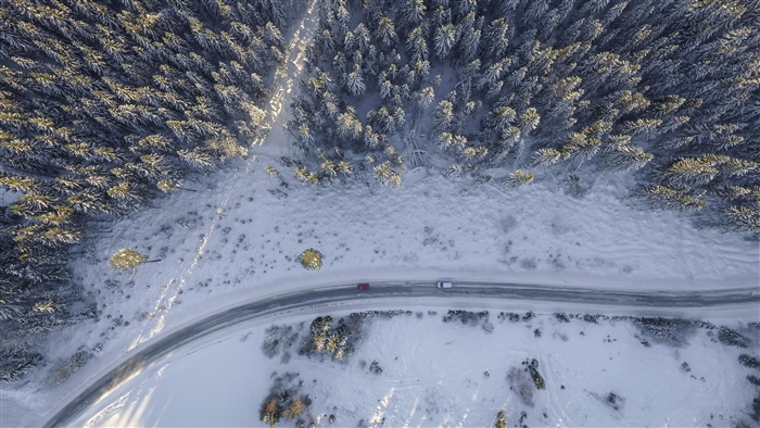 Birds Eye Aerial View of Road and Trees in Winter 4K