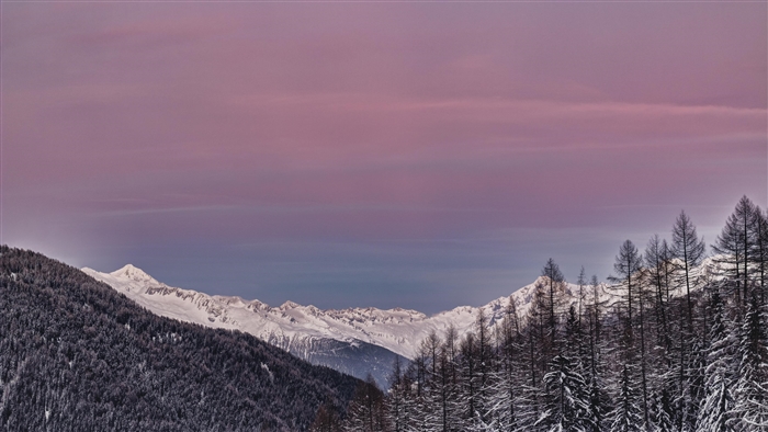 Snow-covered mountains and trees at sunset