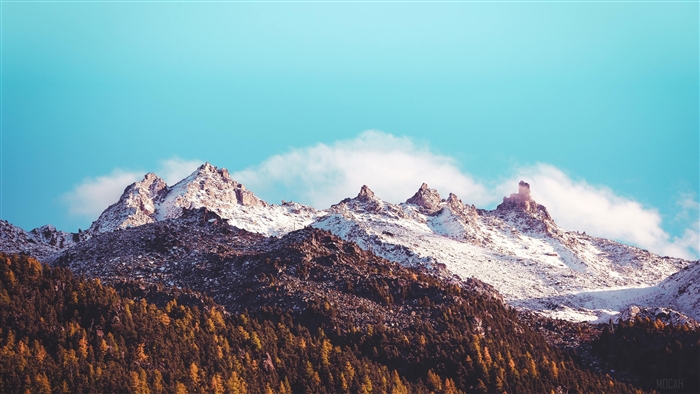 Snow-capped mountains and autumn trees under blue sky