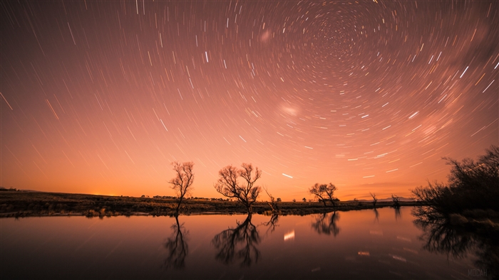 Star Trails Over Lake and Trees 4K