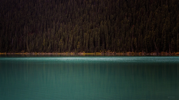Turquoise lake in front of dark forest 4K
