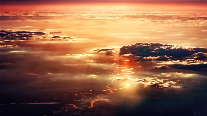 Aerial View Of Amazon RIver