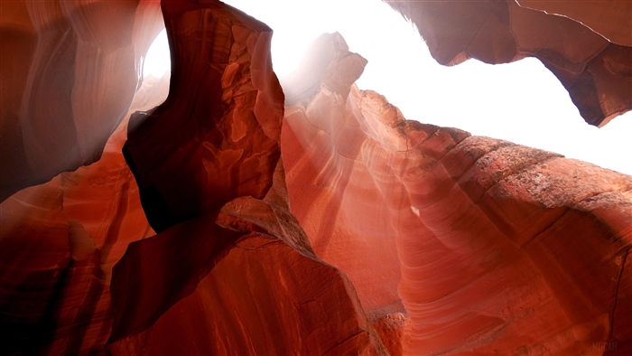 Antelope Canyons