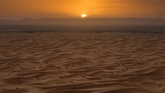 Sahara Desert Sunset
