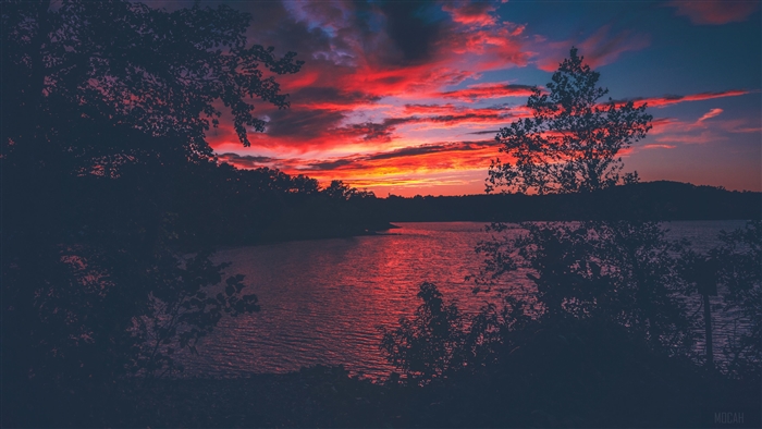 Red Sunset Over Lake View From Forest Woods 4K