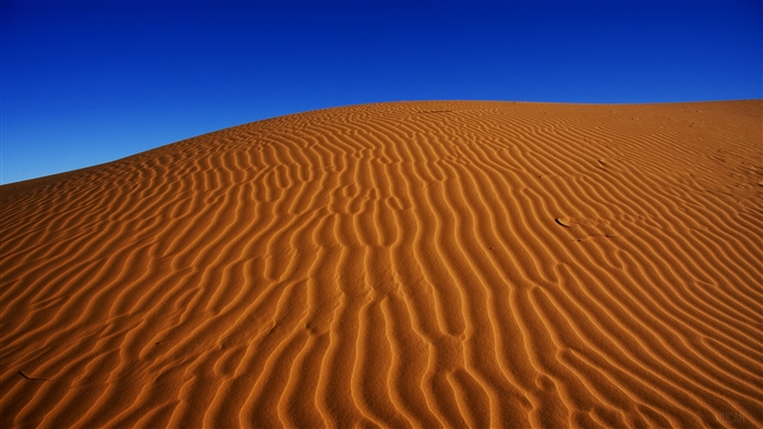 Sand Dunes