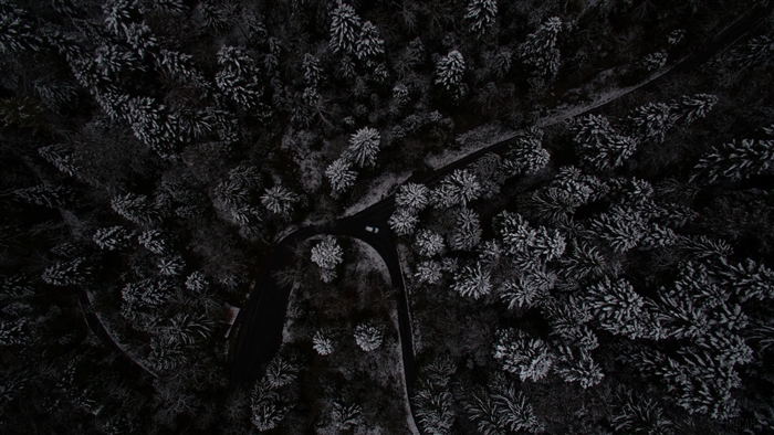 Aerial view of snow-covered forest with a road