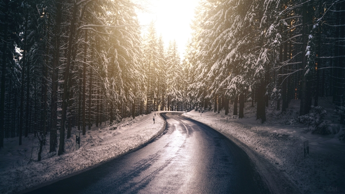 Snowy Forest Road with Sunlight