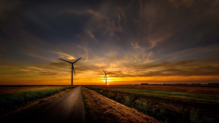 Sunrise over a field with wind turbines and a road